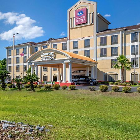 Comfort Suites Savannah Gateway I-95 Georgetown Exteriér fotografie